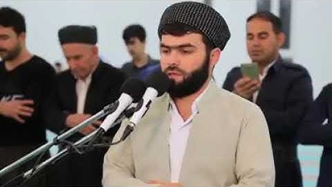 سورة الشعراء كاملة اجمل تلاوة سوف تسمعها القارئ بيشةوا قادر الكردي |