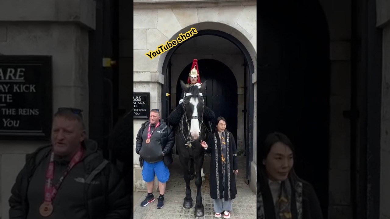 "Unforgettable Escape: Tourist Takes the Reins and Embarks on an Epic Adventure!" 