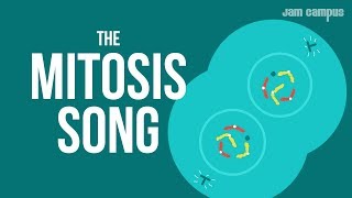 THE MITOSIS SONG | Science Music Video