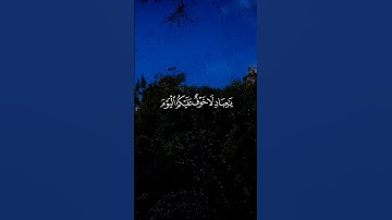 القارئ • عبدالرحمن السويد#قرآن #اكسبلور #المصحف #إستمع #راحة_نفسية
