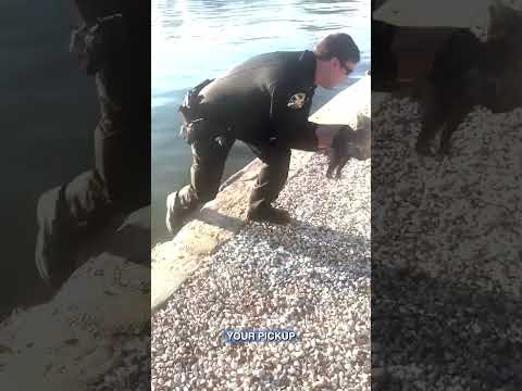 St. Pete Police Rescue Distressed Opossum From Ledge