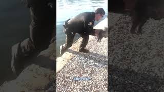 St. Pete Police Rescue Distressed Opossum From Ledge