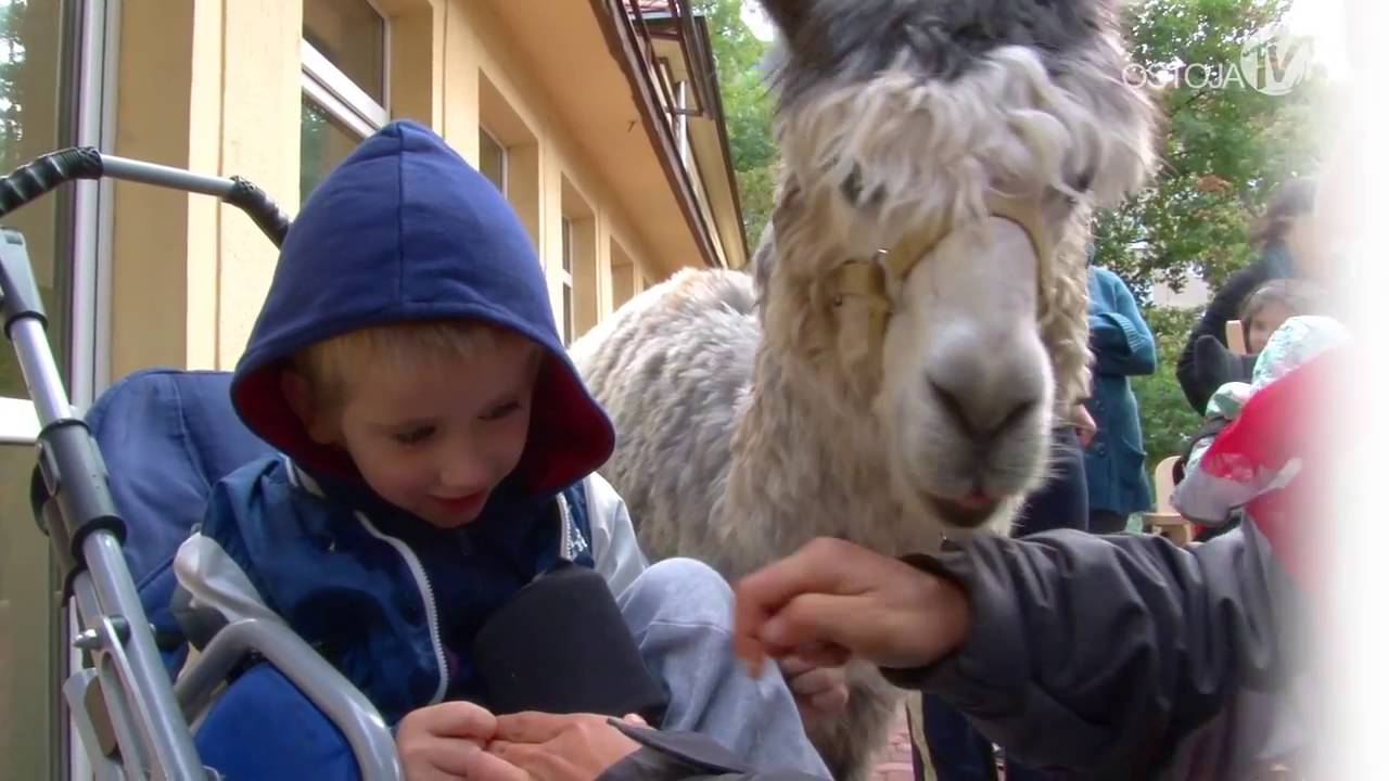 Październik miesiącem komunikacji alternatywnej
