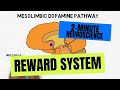 2-Minute Neuroscience: Reward System