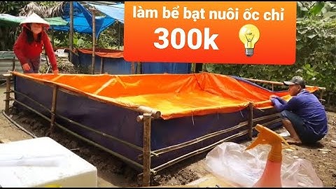 Hướng dẫn làm bể bạt nuôi ốc chỉ 300k