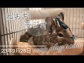 【第1寝】濱健人の明日も生きるラジオ