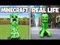 Minecraft Mobs in REAL LIFE