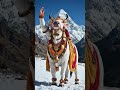 mohe nandi baniyo to baniyo kailash ki..#bholenath#bhaktisong#bhakti#shiv