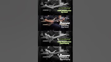Strandberg Boden Standard 5 vs Ibanez EHB1505MS