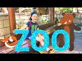 Эндрю учит животных в зоопарке развивающее видео для детей