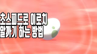 포켓몬스터 소드 실드 이로치 알까기 노가다방법 빠르게 얻는법 확률높히는법 모든팁 알려드립니다.