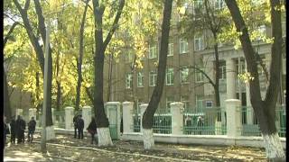 Безопасность на дорогах Безопасность на дорогах