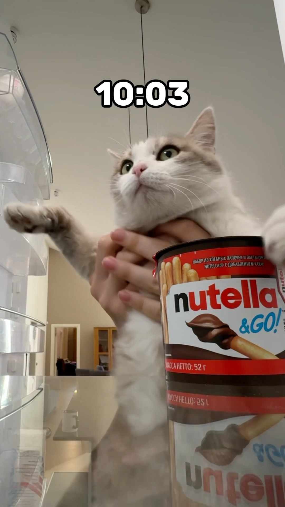 Would you steal Nutella too? ?
