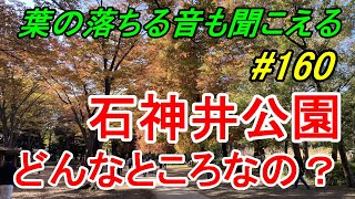 【行先探訪160】よくある行先「石神井公園」ってどんなところなのかレポートします!