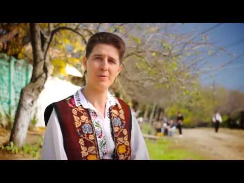 Nicusor Iordan