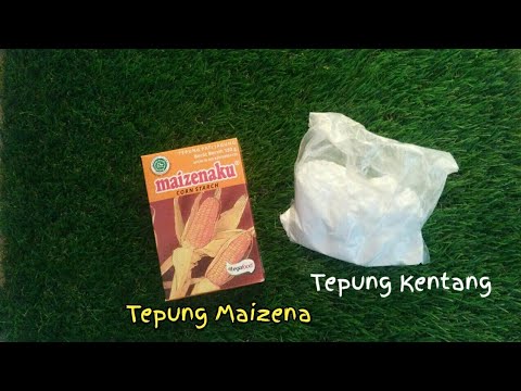 Ciri Tepung Maizena