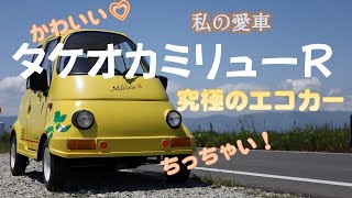 「タケオカミリューR」究極のエコカー！　超小型電気自動車　「かわいいかくれんぼ」さざなみドラム