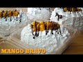 MANGO BRAVO CAKE WITH COSTING/ LUTONG TINAPAY