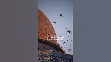سورة إبراهيم {الآية 42} بصوت الشيخ ياسر الدوسري ❤️💖