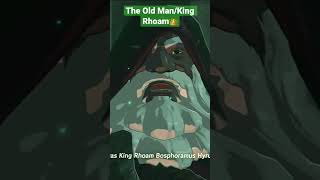 The Old Man/King Rhoam: The Legend of Zelda: Breath of the Wild