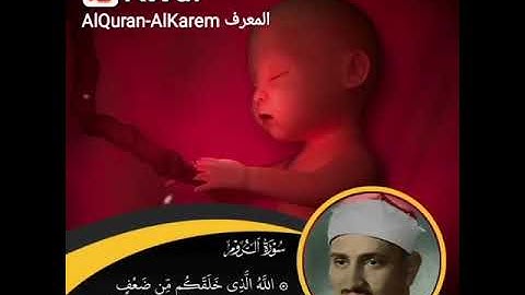القران الكريم🌹❤️🌹:يخلق ما يشاء و هو العليم القدير.