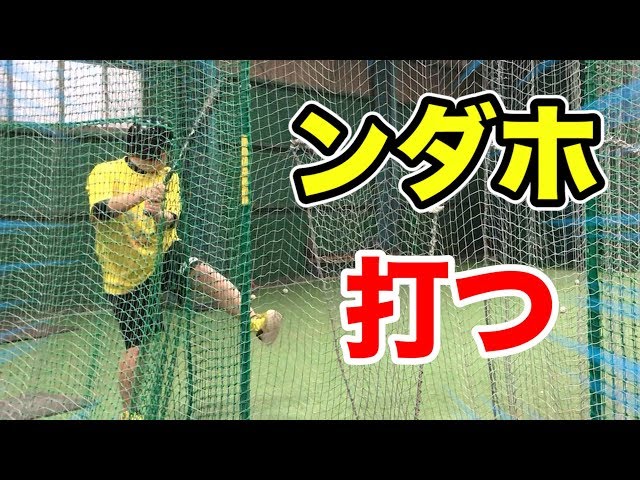 1000本ノックで飽き足らない人たちの楽しい居残り練習 Litetube 1000本ノックで飽き足らない人たちの楽しい居残り練習 Litetube