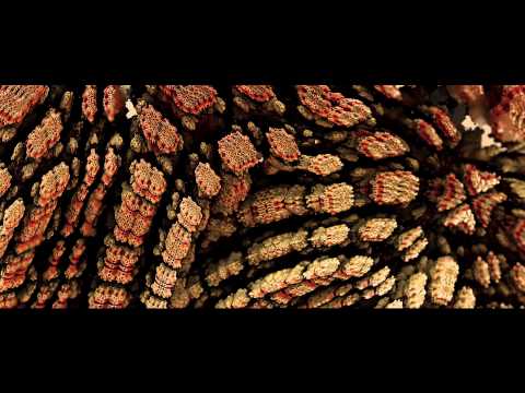 Dimitri Vangelis & Wyman - Zonk (Original Mix)