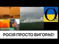 ЗГОРИТЬ ВСЕ! І ніхто нічого не робить! Подивіться лише на цей жах!