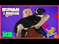 Rambo's Forever Family | Roman to the Rescue | @Disney XD  x @Dodo Kids