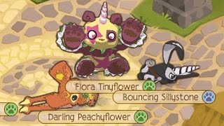 ANIMAL JAM: BETA vs NOW!