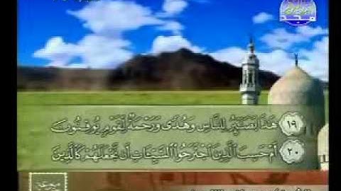 سورة الجاثية الشيخ مصطفى اللاهوني