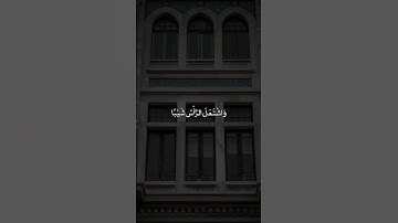سورة مريم #القارئ_سالم_الرويلي