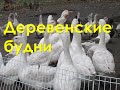 Ответы на комментарии | Вечная перестройка| Деревенский  | Крестьянский двор