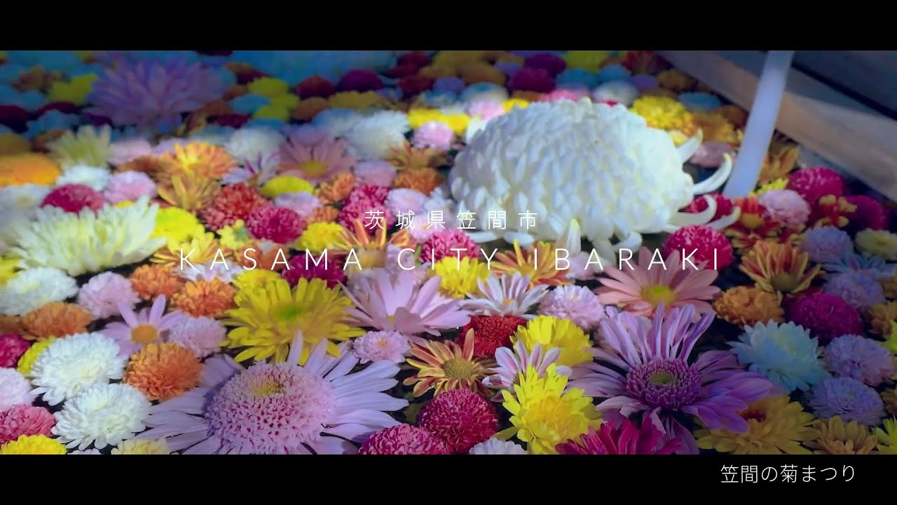 茨城県笠間市PR動画「KASAMA CITY IBARAKI」