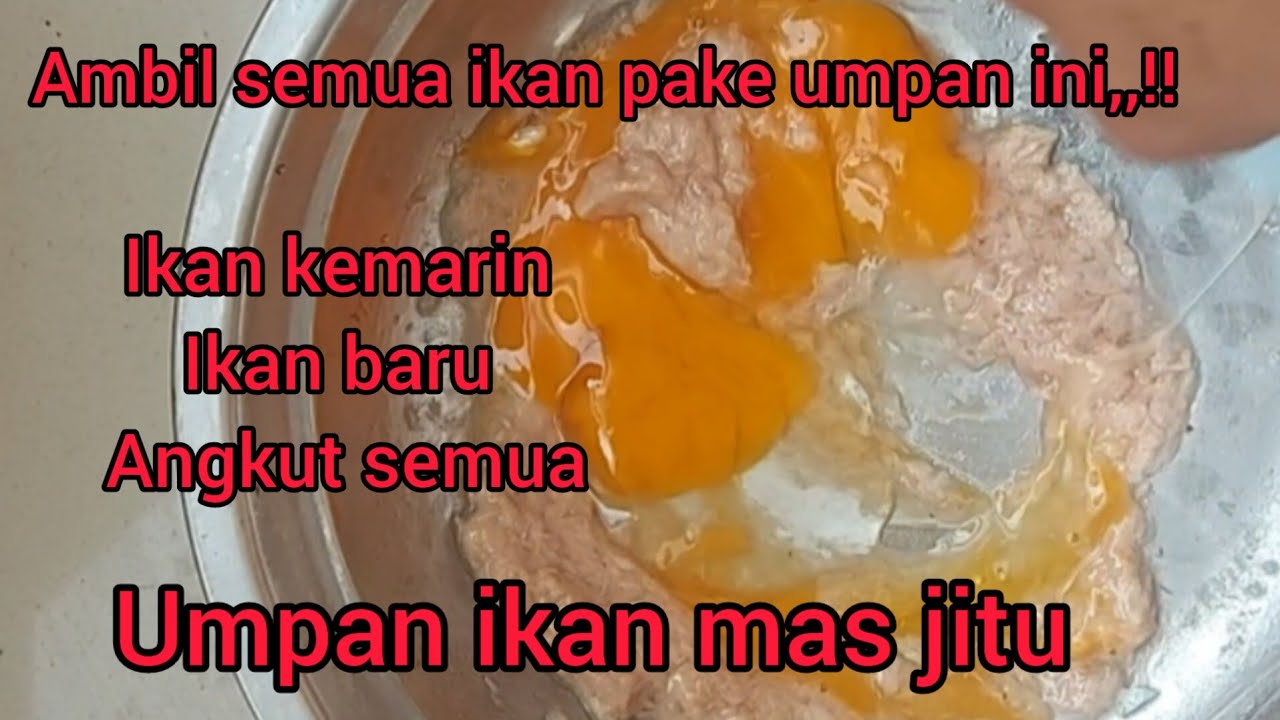 AMBIL SEMUA PAKE UMPAN INI,,!! ikan kemarin ikan baru,umpan ikan mas jitu