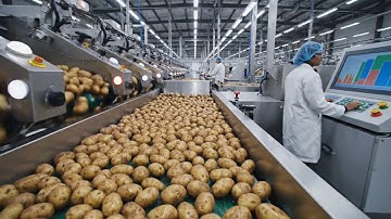 Inside the Factory: How Unbelievable Potato Chips Are Made | Full Process