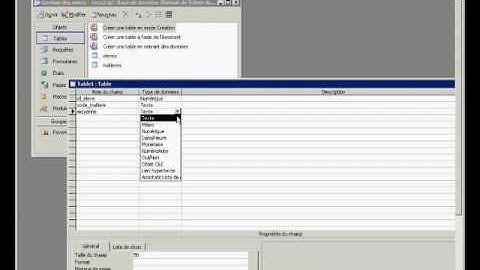 Partie 1 - Exercice Base de données Access