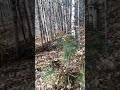 Ещё один день.