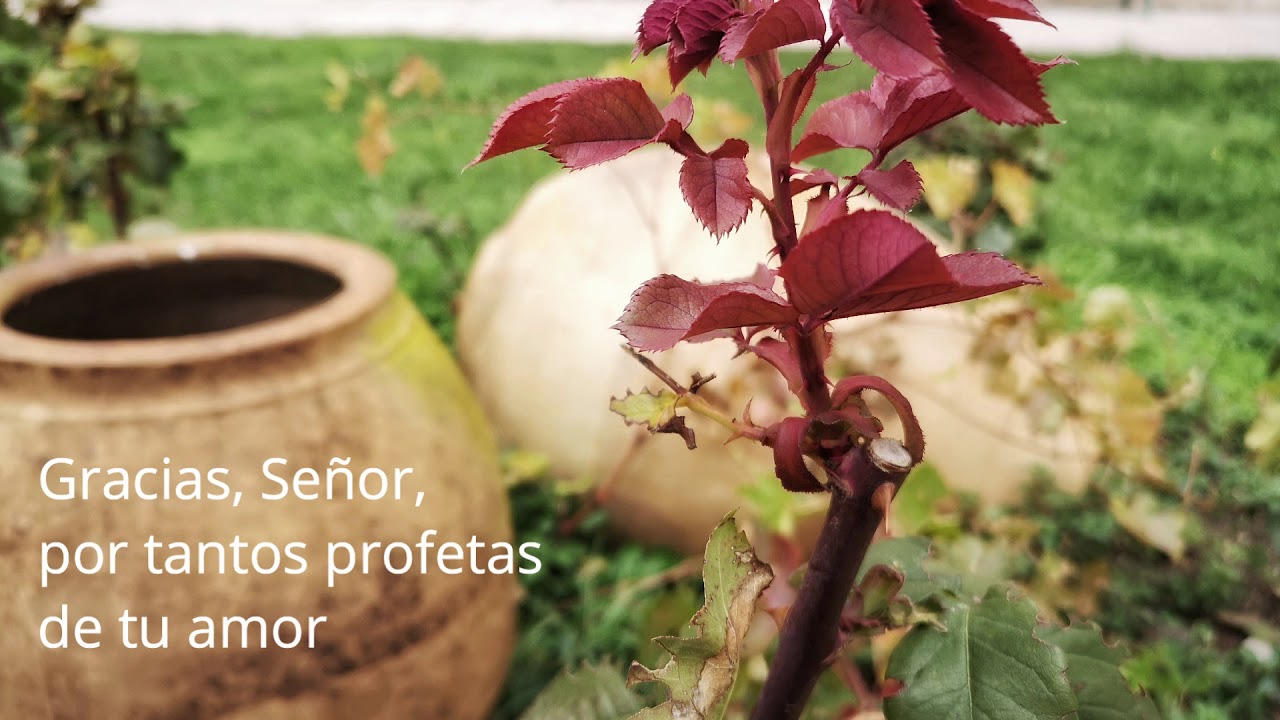 Videos orantes Oración tercer domingo de Adviento YouTube