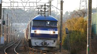 2020/02/05 JR貨物 1071レ 桃新塗装機EF210-2[岡]号機 のんびりと鷲津ストレート下る