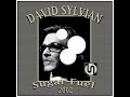 David Sylvian - Sugar Fuel (2002)