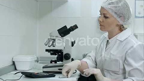 Scientist Working with Microscope Calculating and Taking Notes in Laboratory | Stock Footage - E...