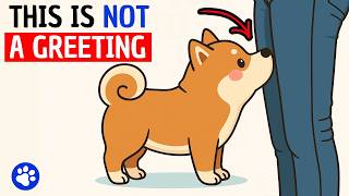 If Your Dog Sniffs Your Private Area, This Is What It Really Means