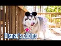 Disney Pet Friendly resort | Fort Wilderness day 1