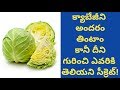 Health Benefits of Cabbage | Health Tips In Telugu | Manandari Health