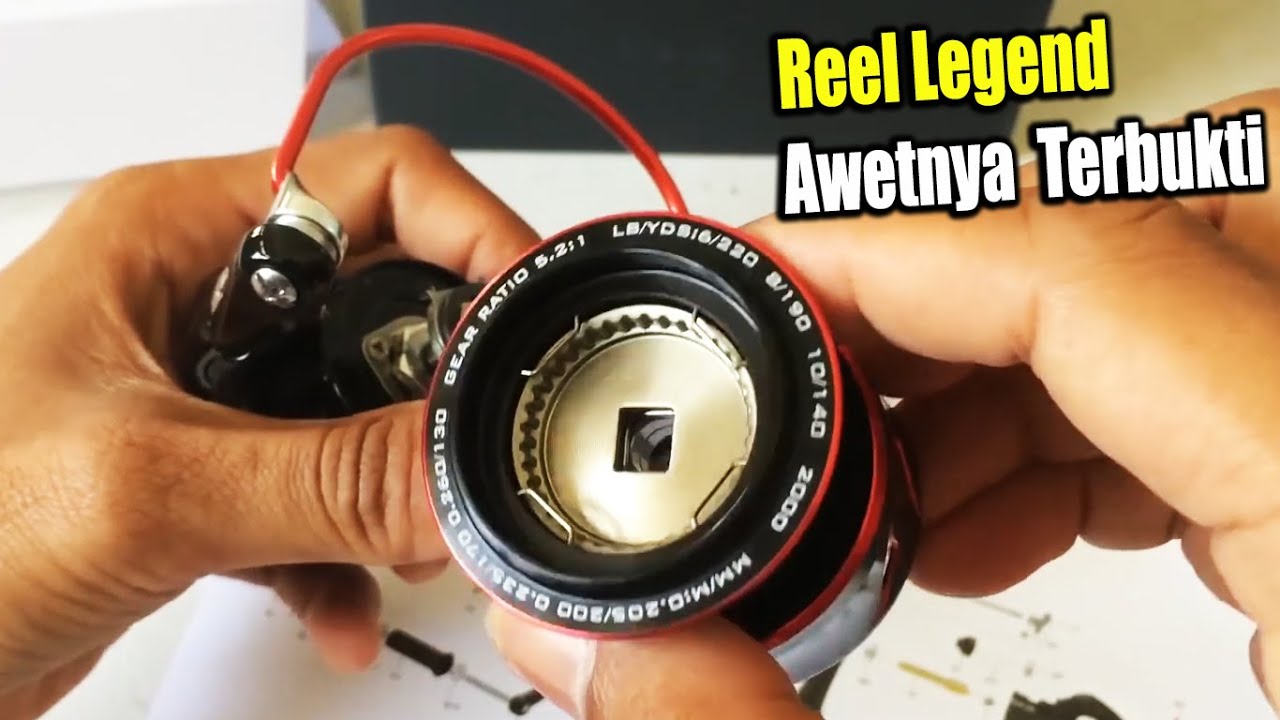 Awetnya Reel ini Membuat Banyak Yang Memburu - YouTube