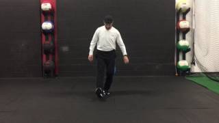 Partial Single Leg Squat Test