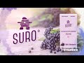 SURO - Organic Elderberry Concentrate