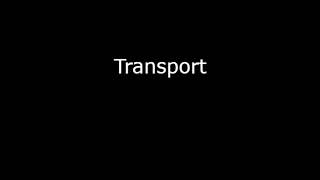 Cunami x Neloe Transport (Bass Bosted)