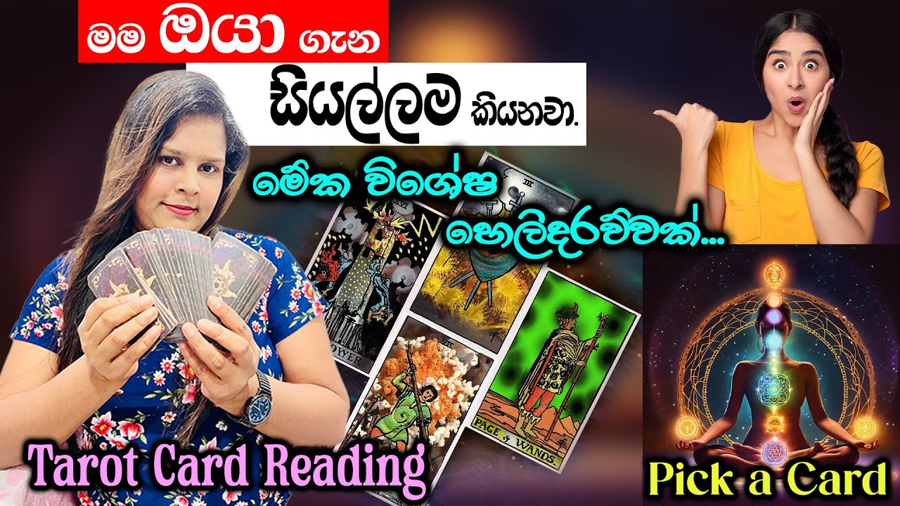 මම ඔයා ගැන සියල්ලම කියනවා.|